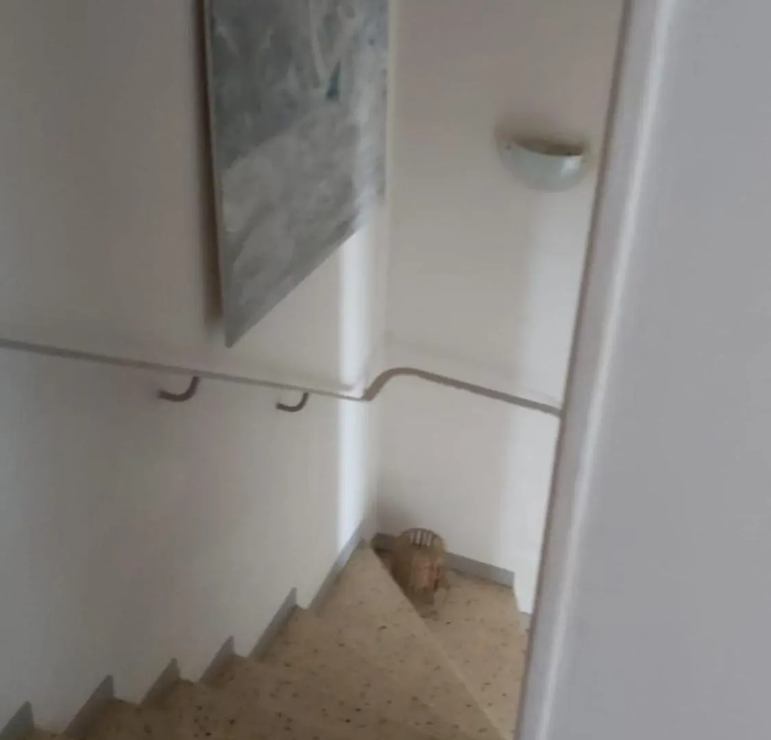 Balades Au Fil De L'Eau - Maison 3 Chambres Face Au Canal - Garage Et Parking Prives Montauban 0*,  France